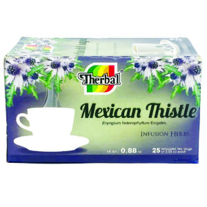 Mexican Thistle
