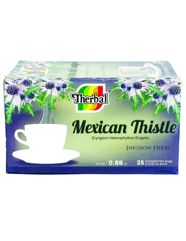 Mexican Thistle
