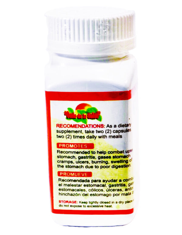 Gastrisan 90 Capsules 500 mg / Gasrisan 90 Digestivo Capsulas 500 mg - Image 4