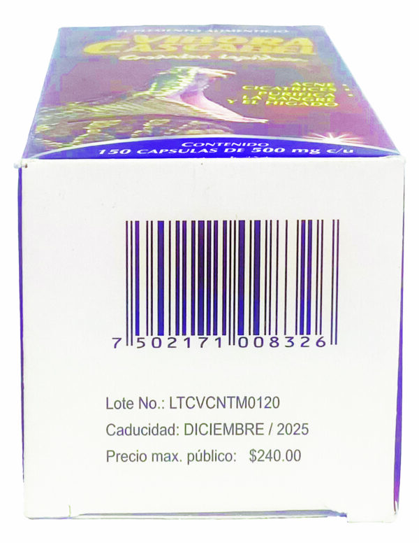 Vibora Cascabel - Image 4